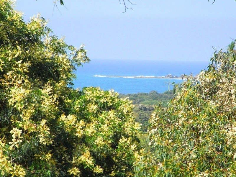 43 Great Ocean Road, Anglesea VIC 3230