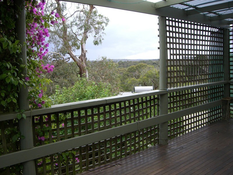 21 Lubel Street, Anglesea VIC 3230