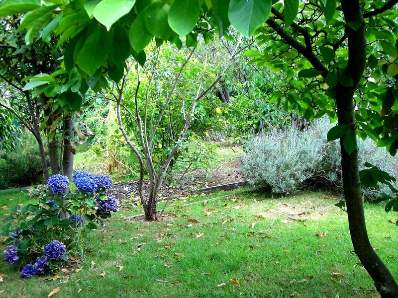 21 Lubel Street, Anglesea VIC 3230