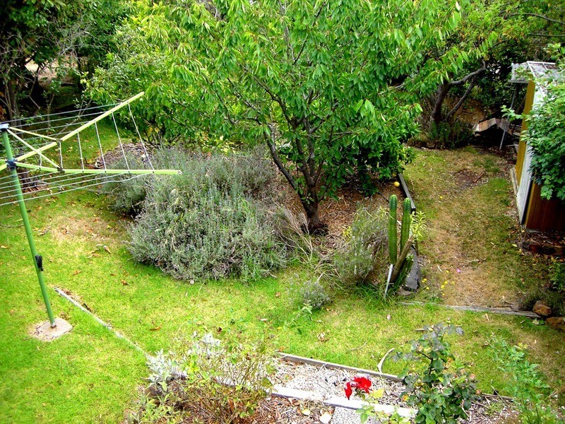 21 Lubel Street, Anglesea VIC 3230