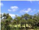 22 Golf Links Road, Anglesea VIC 3230