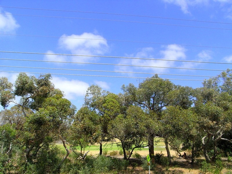22 Golf Links Road, Anglesea VIC 3230