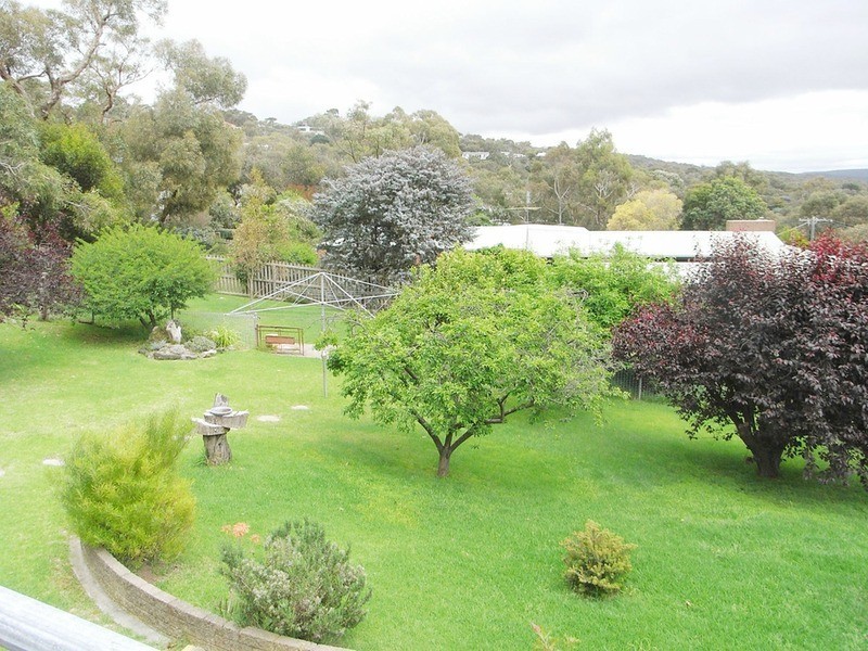 101 Noble  Street, Anglesea VIC 3230