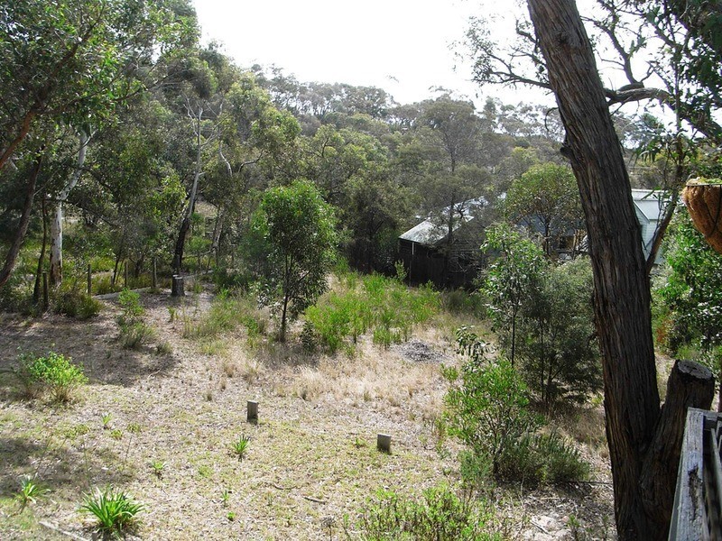 43 McMahon  Avenue, Anglesea VIC 3230