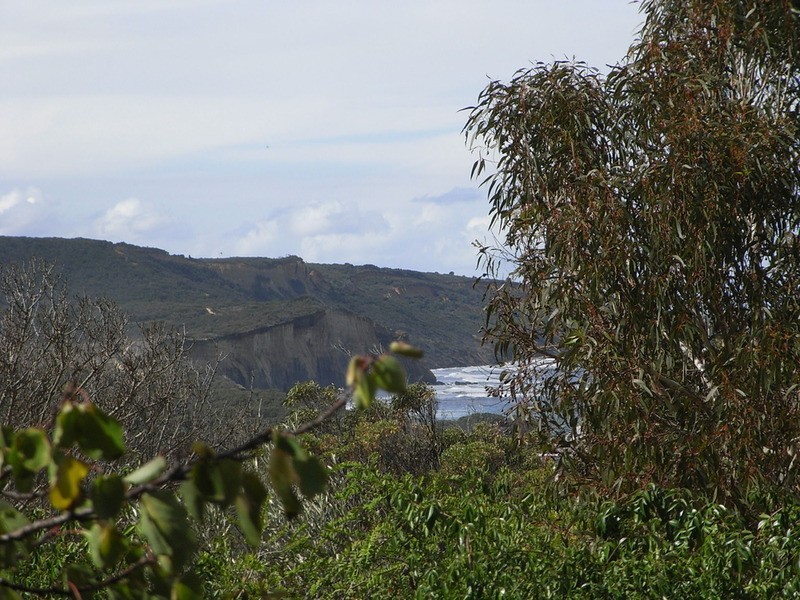 47a Harvey  Street, Anglesea VIC 3230