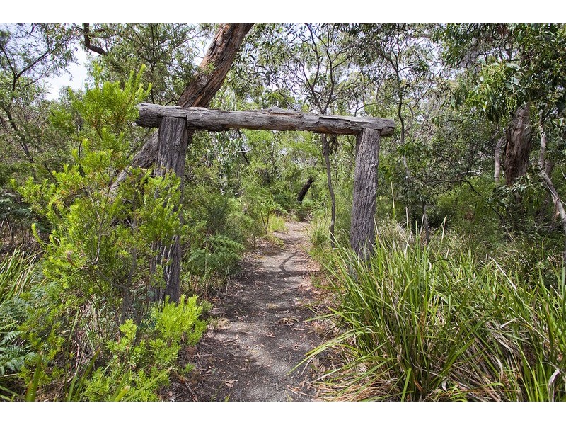 13 Purnell Street, Anglesea VIC 3230