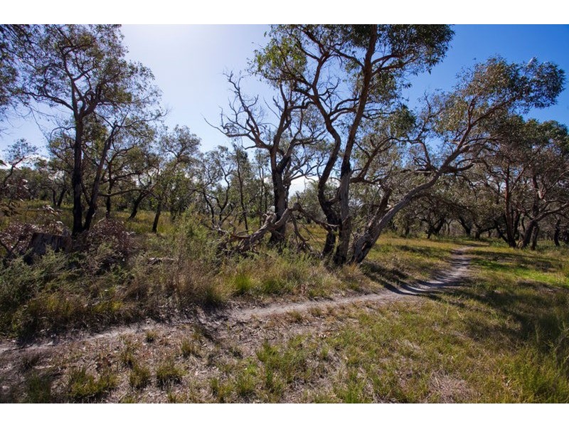 23 McConnell Close, Anglesea VIC 3230