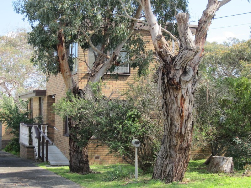 3 Donald Avenue, Anglesea VIC 3230