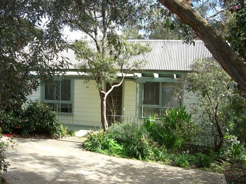 1/61 Camp Road, Anglesea VIC 3230
