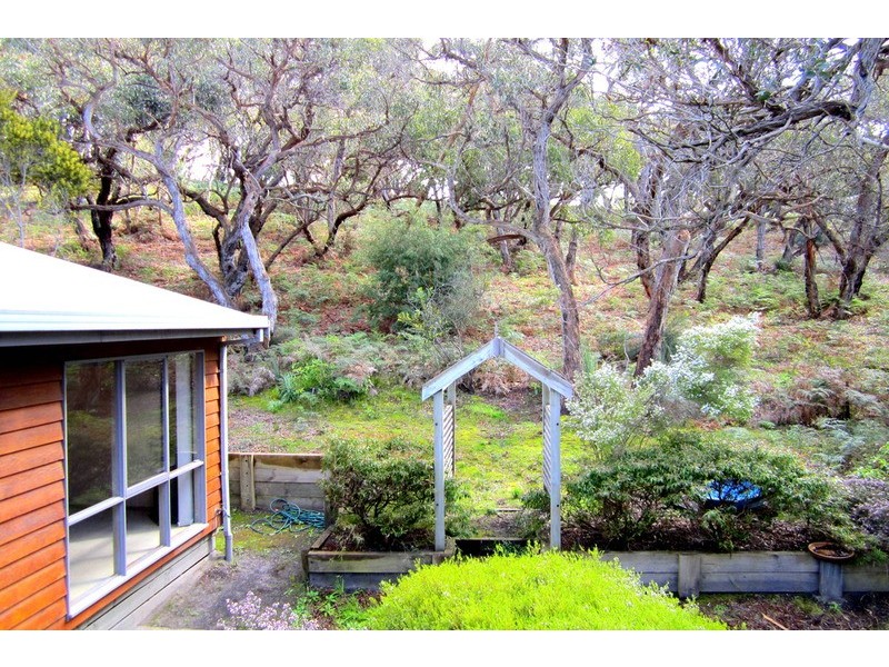 16 Niblick  Street, Anglesea VIC 3230