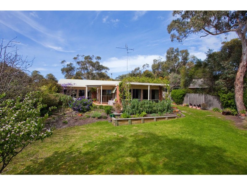 17 Minifie Avenue, Anglesea VIC 3230