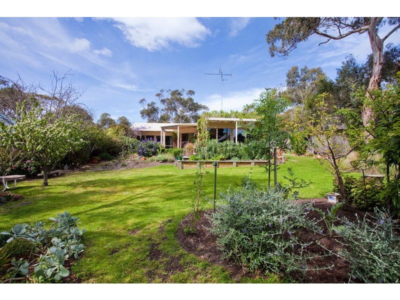 17 Minifie Avenue, Anglesea VIC 3230