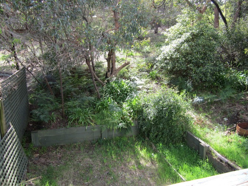 21 Third  Avenue, Anglesea VIC 3230