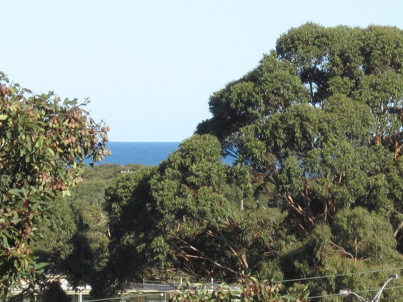 1/15 Walker  Street, Anglesea VIC 3230