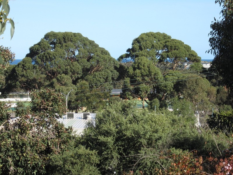 1/15 Walker  Street, Anglesea VIC 3230