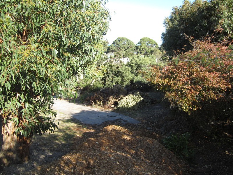 1/15 Walker  Street, Anglesea VIC 3230