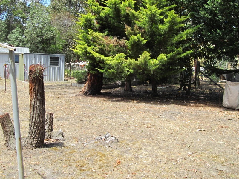 3 Niblick Street, Anglesea VIC 3230