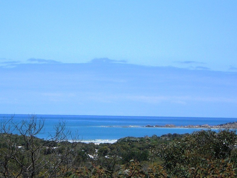 41 Great Ocean  Road, Anglesea VIC 3230