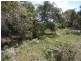 41 Great Ocean  Road, Anglesea VIC 3230