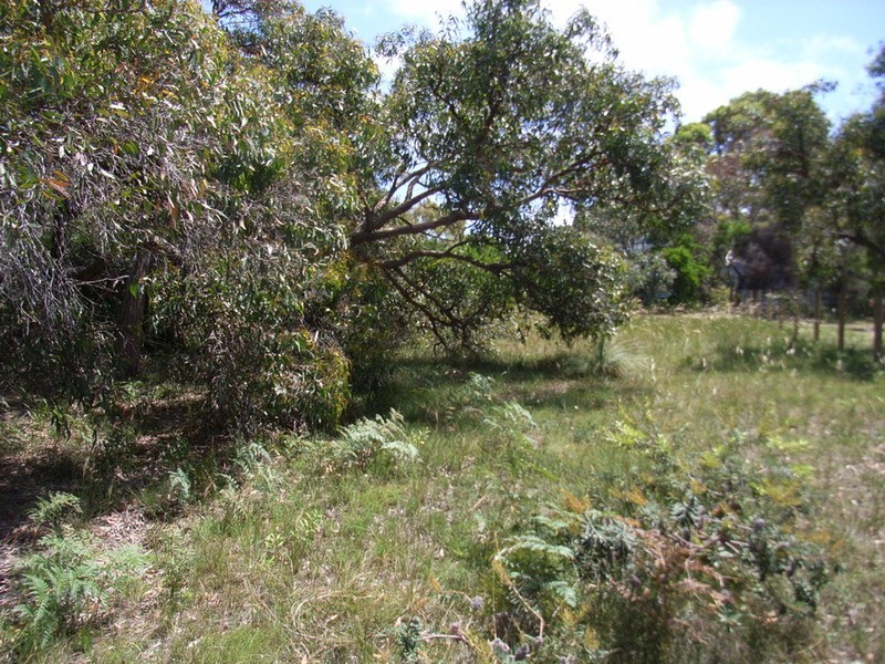 41 Great Ocean  Road, Anglesea VIC 3230