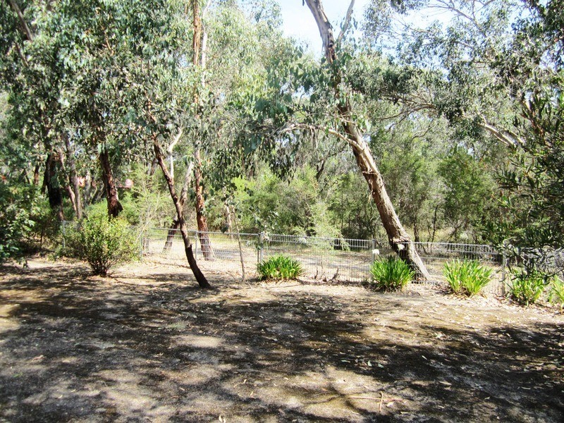 4 Chatswood Drive, Anglesea VIC 3230