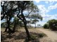 45 Pickworth Drive, Anglesea VIC 3230