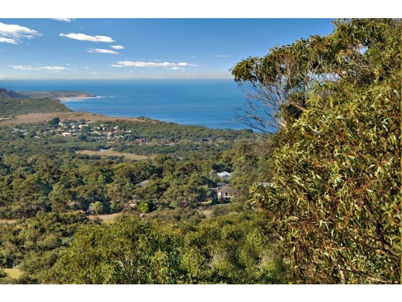 45 Pickworth Drive, Anglesea VIC 3230