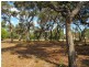 45 Pickworth Drive, Anglesea VIC 3230
