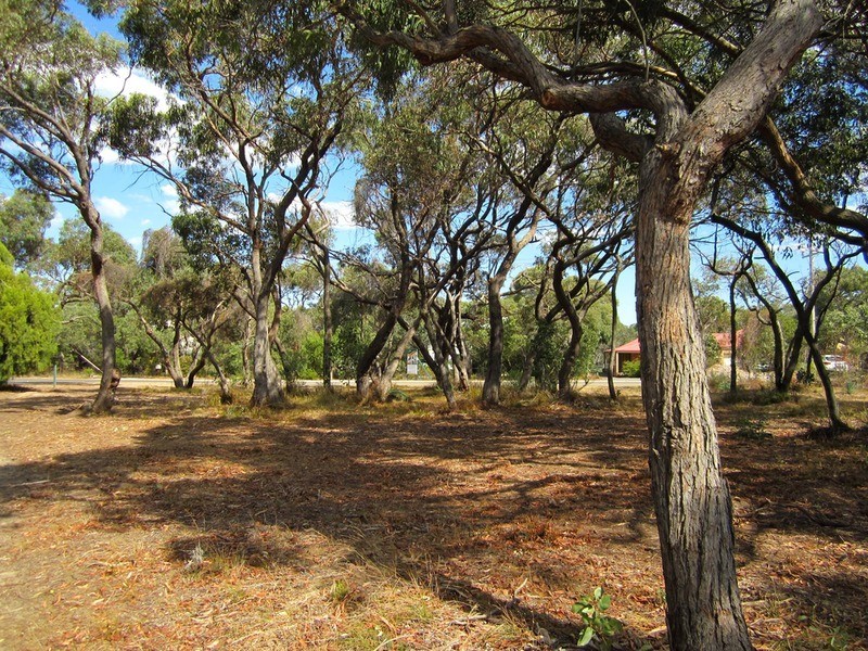 45 Pickworth Drive, Anglesea VIC 3230