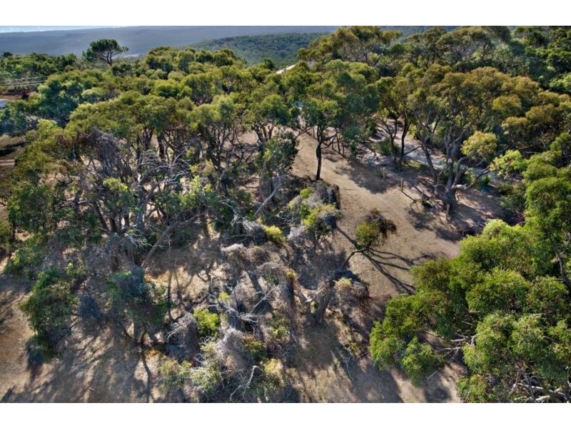 45 Pickworth Drive, Anglesea VIC 3230