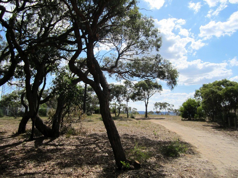 45 Pickworth Drive, Anglesea VIC 3230