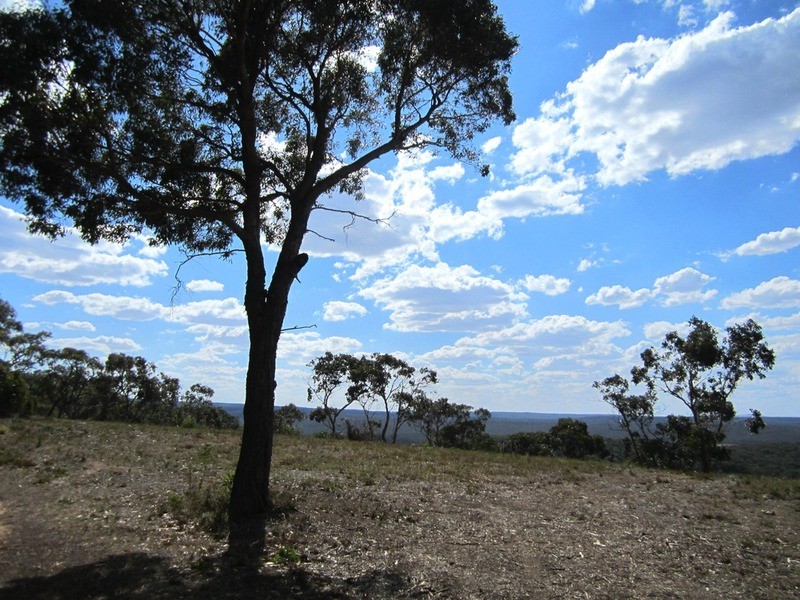 45 Pickworth Drive, Anglesea VIC 3230