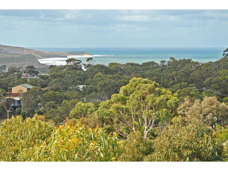129 Noble Street, Anglesea VIC 3230