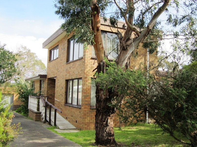 3 Donald Avenue, Anglesea VIC 3230