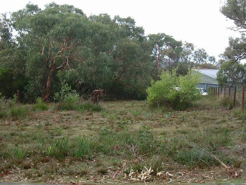 16 Clairville  Street, Anglesea VIC 3230
