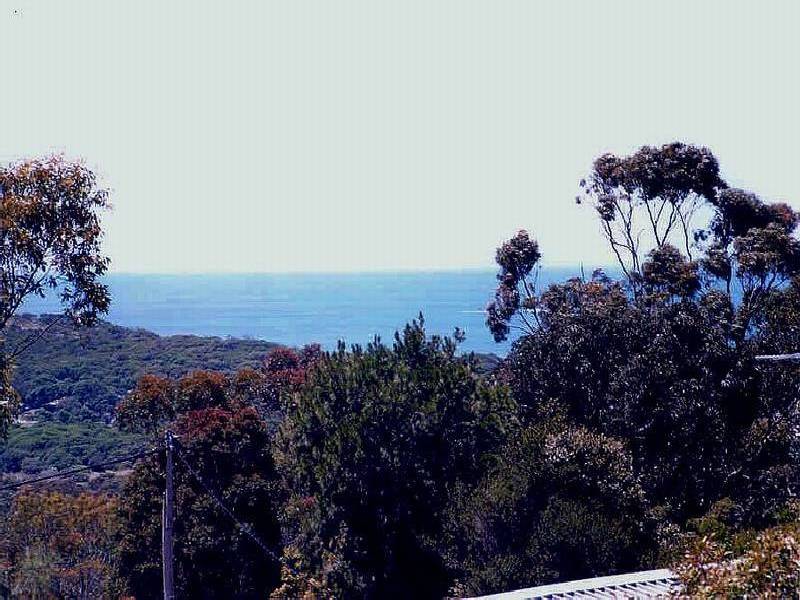 16 Clairville  Street, Anglesea VIC 3230