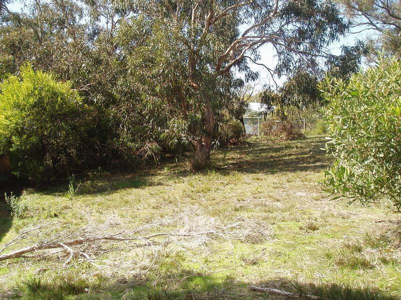 16 Clairville  Street, Anglesea VIC 3230