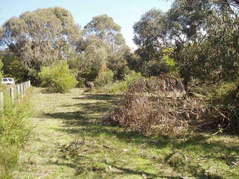 16 Clairville  Street, Anglesea VIC 3230