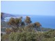 Anglesea VIC 3230