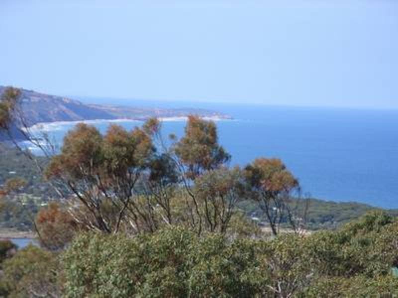 Anglesea VIC 3230