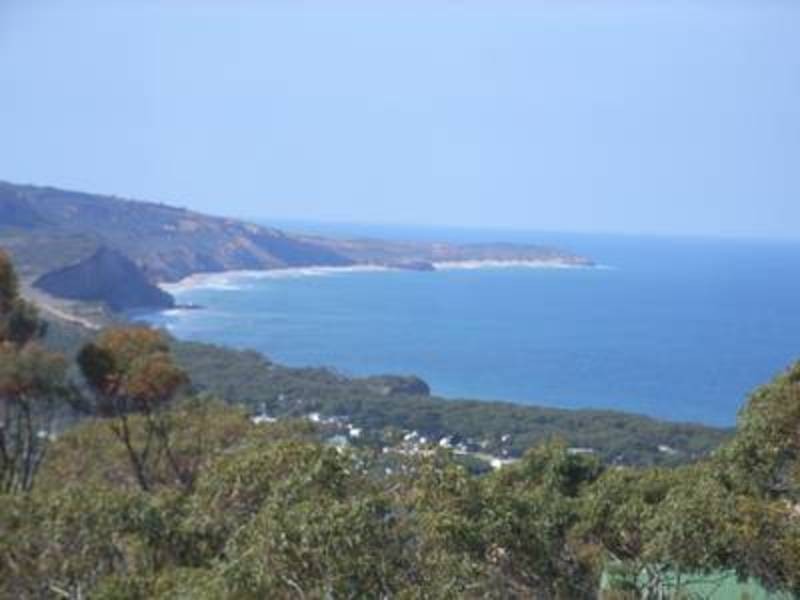 Anglesea VIC 3230