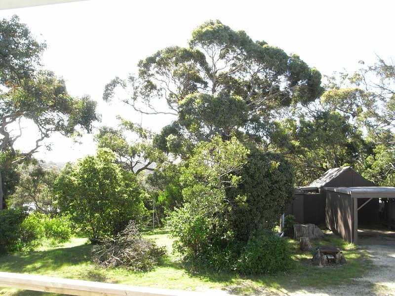 Anglesea VIC 3230