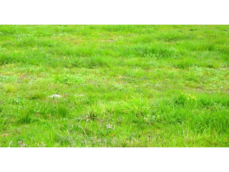 Lot 136 Peta Mews Mews, Clifton Springs VIC 3222