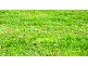 Lot 122  Cirrus Place, Clifton Springs VIC 3222