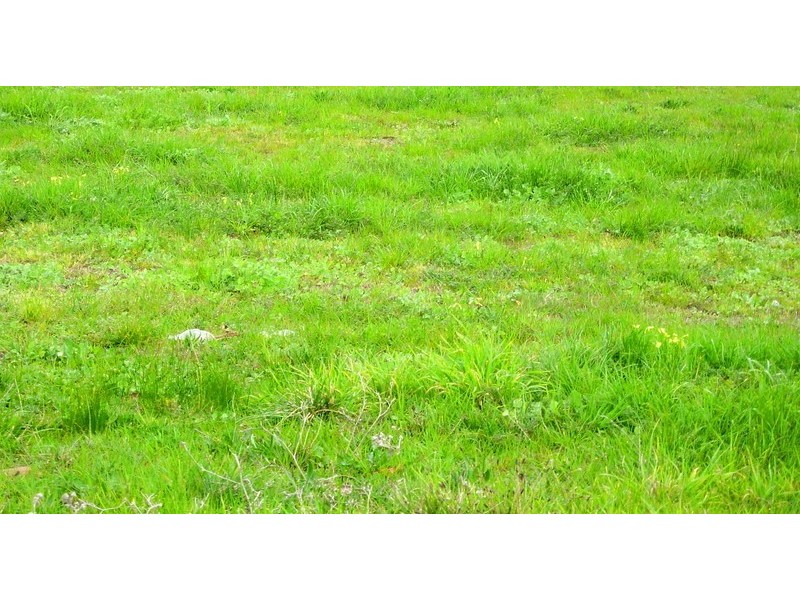 Lot 122  Cirrus Place, Clifton Springs VIC 3222