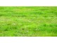 Lot 123 Delungra Avenue, Clifton Springs VIC 3222
