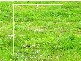 Lot 67 Jackwood Way, Clifton Springs VIC 3222