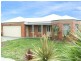 52 Palmerston Street, Drysdale VIC 3222