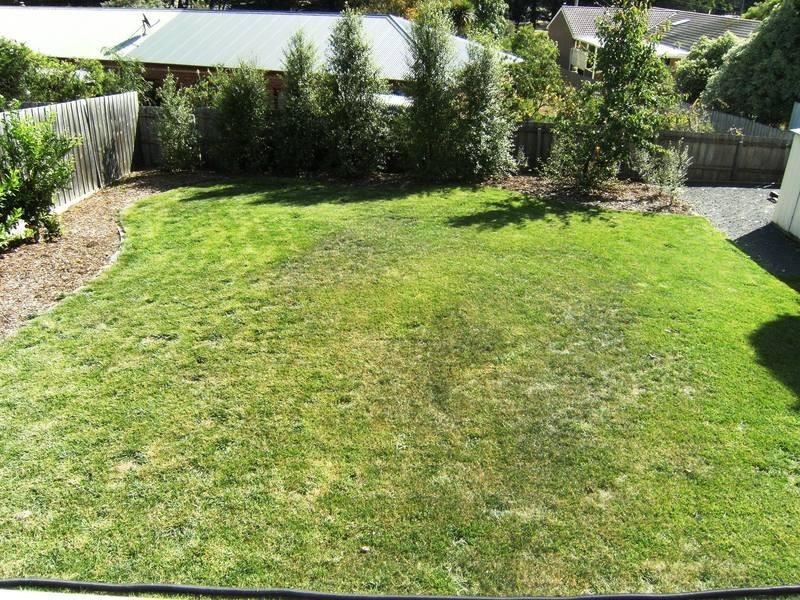 52 Palmerston Street, Drysdale VIC 3222