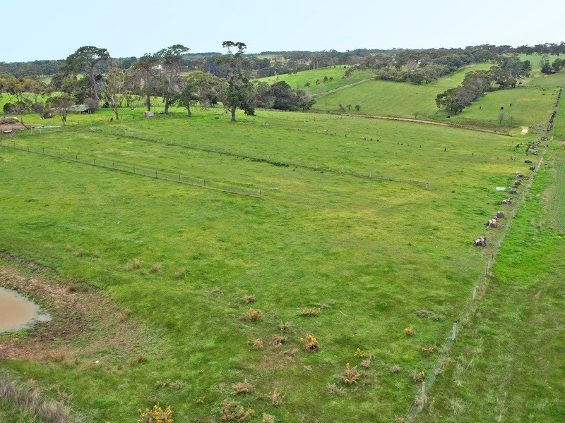 80 Hardings Road, Wallington VIC 3221